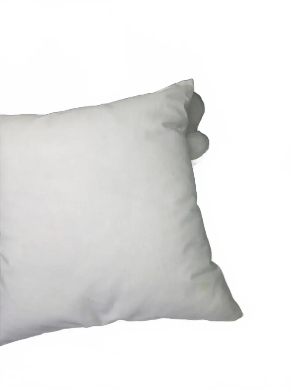 Michigan State Spartans Pillow and Wreath Lot
